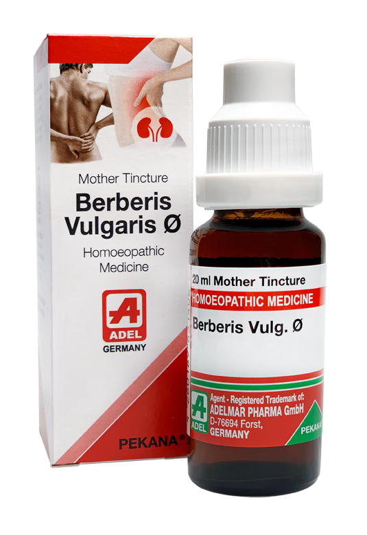 Berberis Vulg Ø